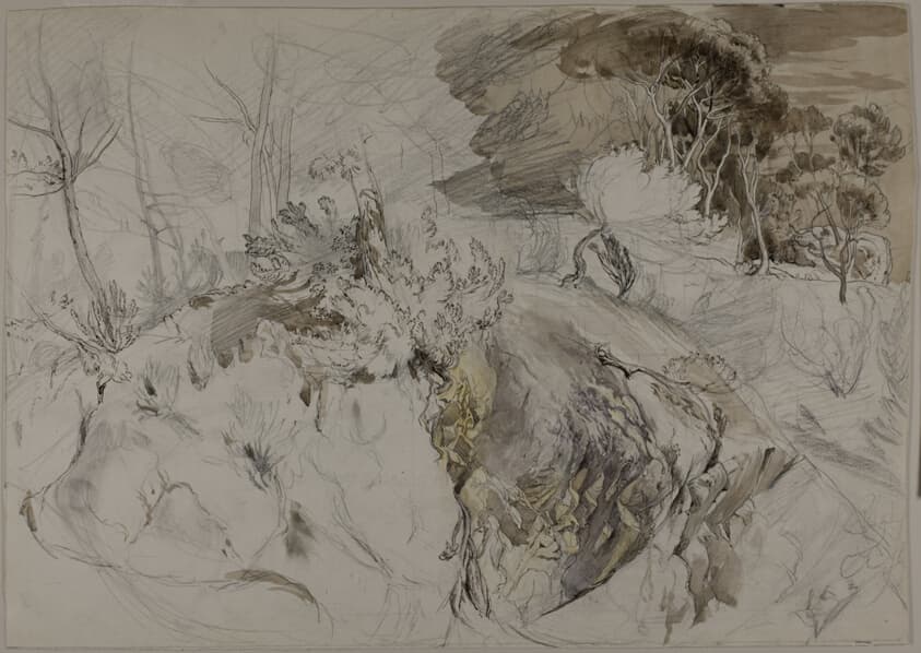 Shrubs and Trees in Rocky Landscape — John Ruskin