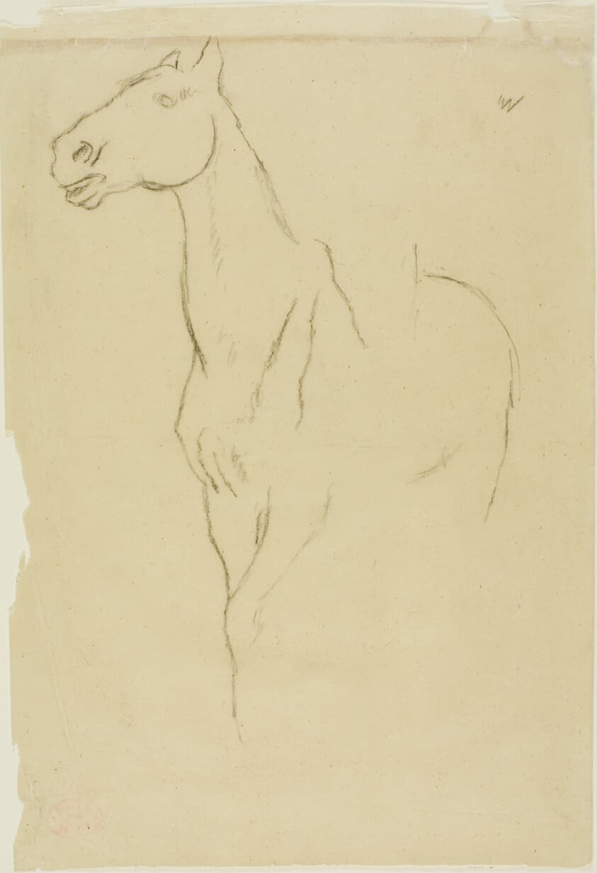 Horse Turned Three-Quarters — Edgar Degas