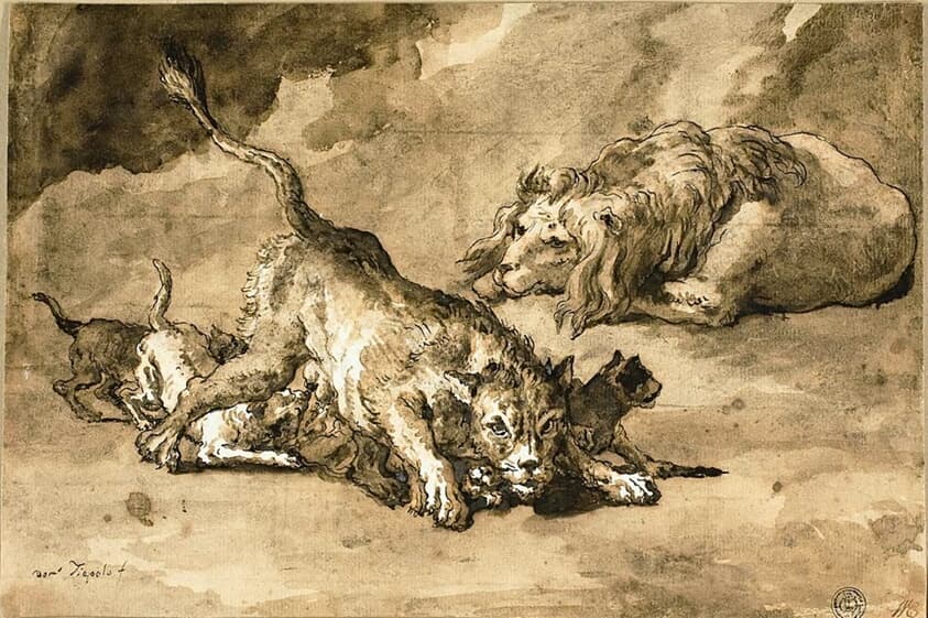Lion, Lioness and Cubs — Giovanni Domenico Tiepolo
