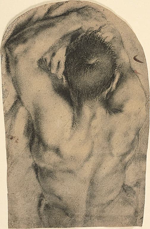 Half-Length Recumbent Male Nude Seen from the Back — Pietro Faccini