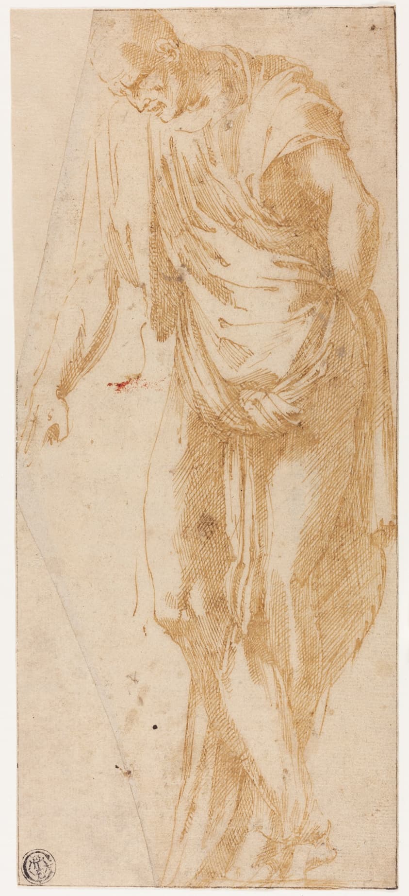 Study of Levi — Alonso Berruguete