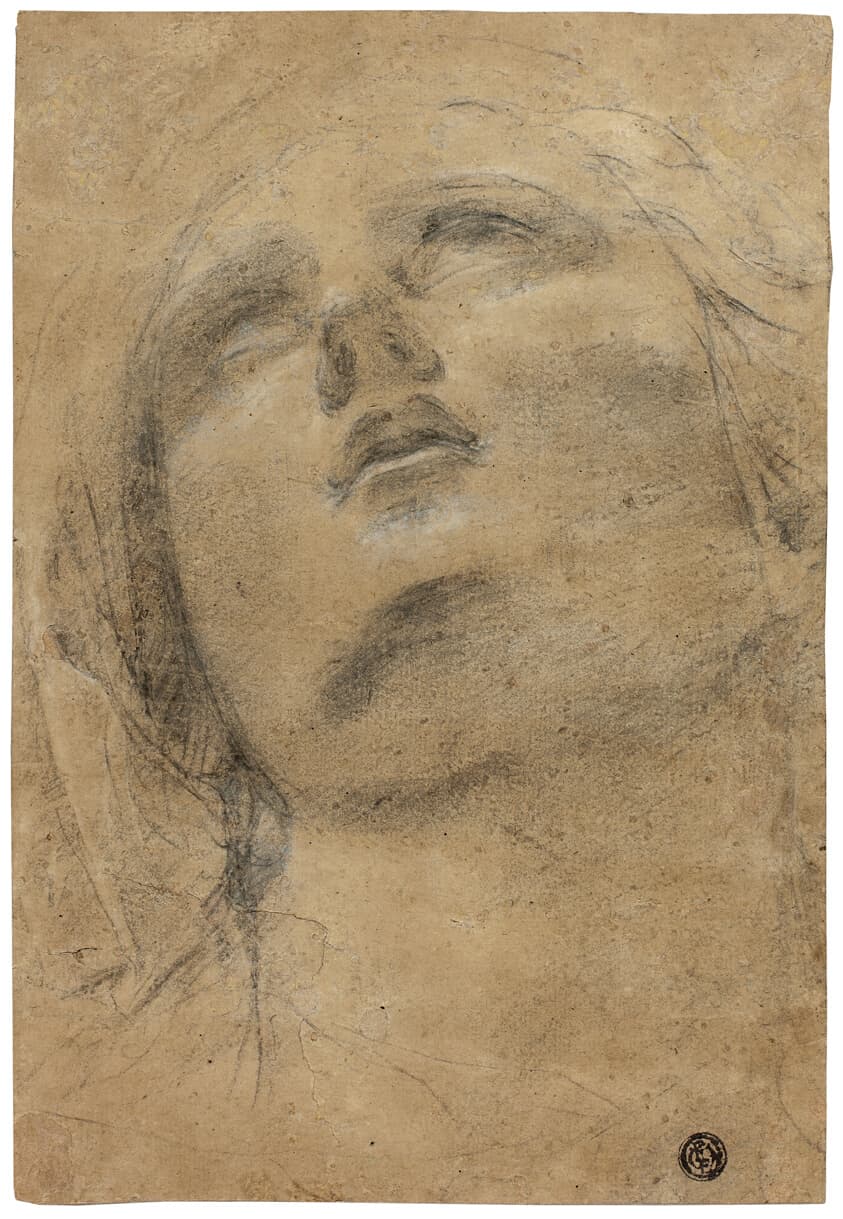 Head of the Virgin Looking Upwards — Jacopo Cavedone