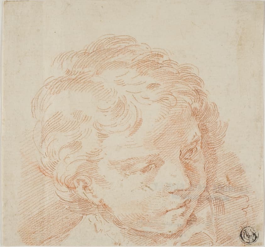 Child's Head — Donato Creti