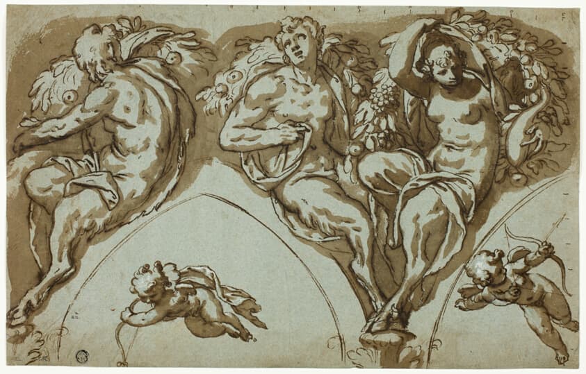Study for Spandrel Decoration with Satyress, Satyrs, and Putti (recto); Head of Putto (verso) — Paolo Farinati