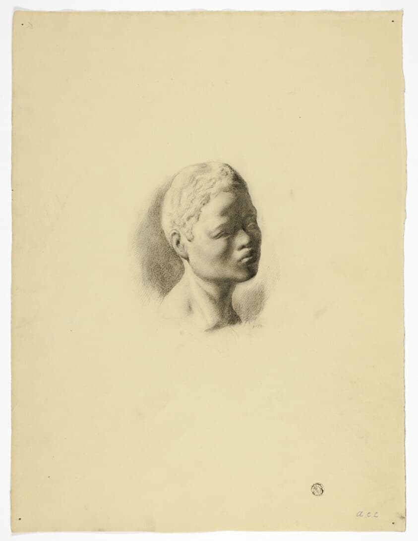 Head of Young Black Man — Andrea Carlo Lucchesi