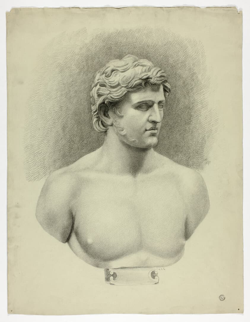 Ancient Portrait Bust of Young Man — Andrea Carlo Lucchesi