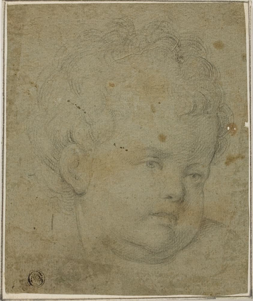 Child's Head — Giovanni Battista Caracciolo
