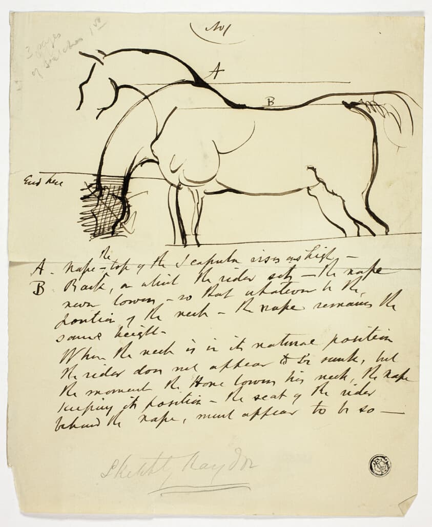 Sketch of Horse with Notations — Benjamin Robert Haydon