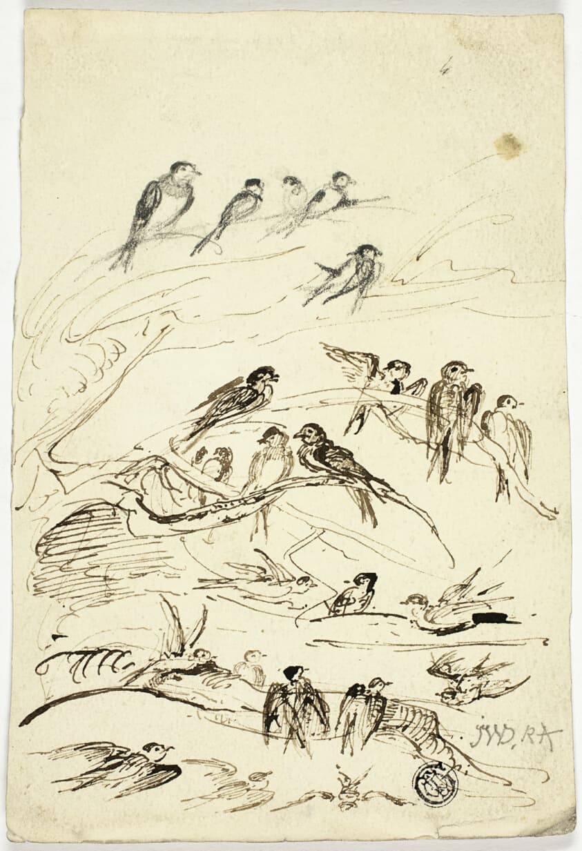 Swallows Before They Take Their Departure — James Ward