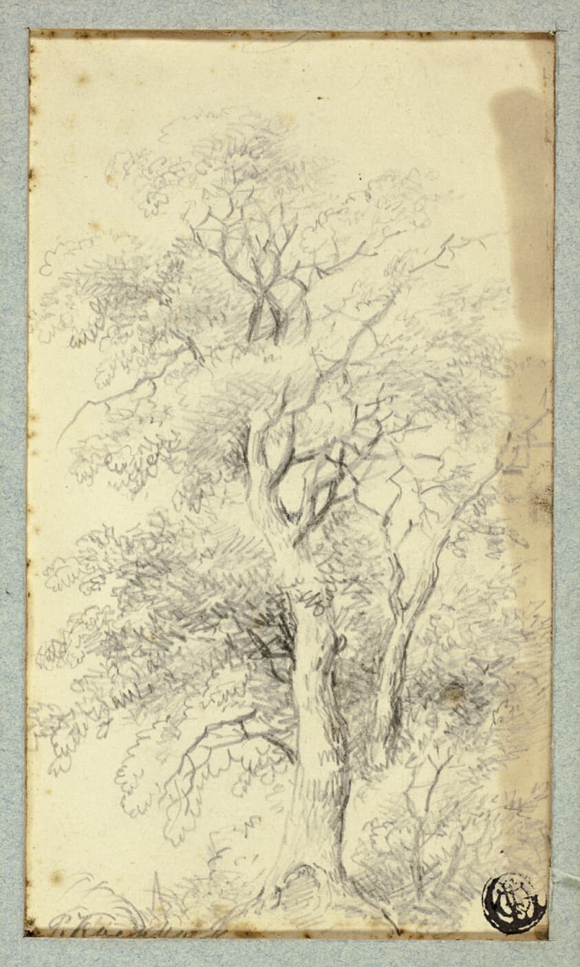 Tree — Hendrik Pieter Koekkoek
