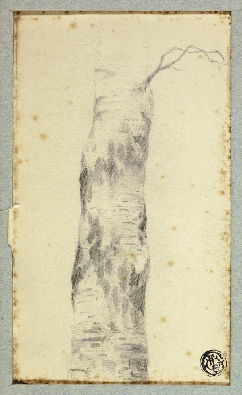 Sketch of Tree Trunk — Hendrik Pieter Koekkoek