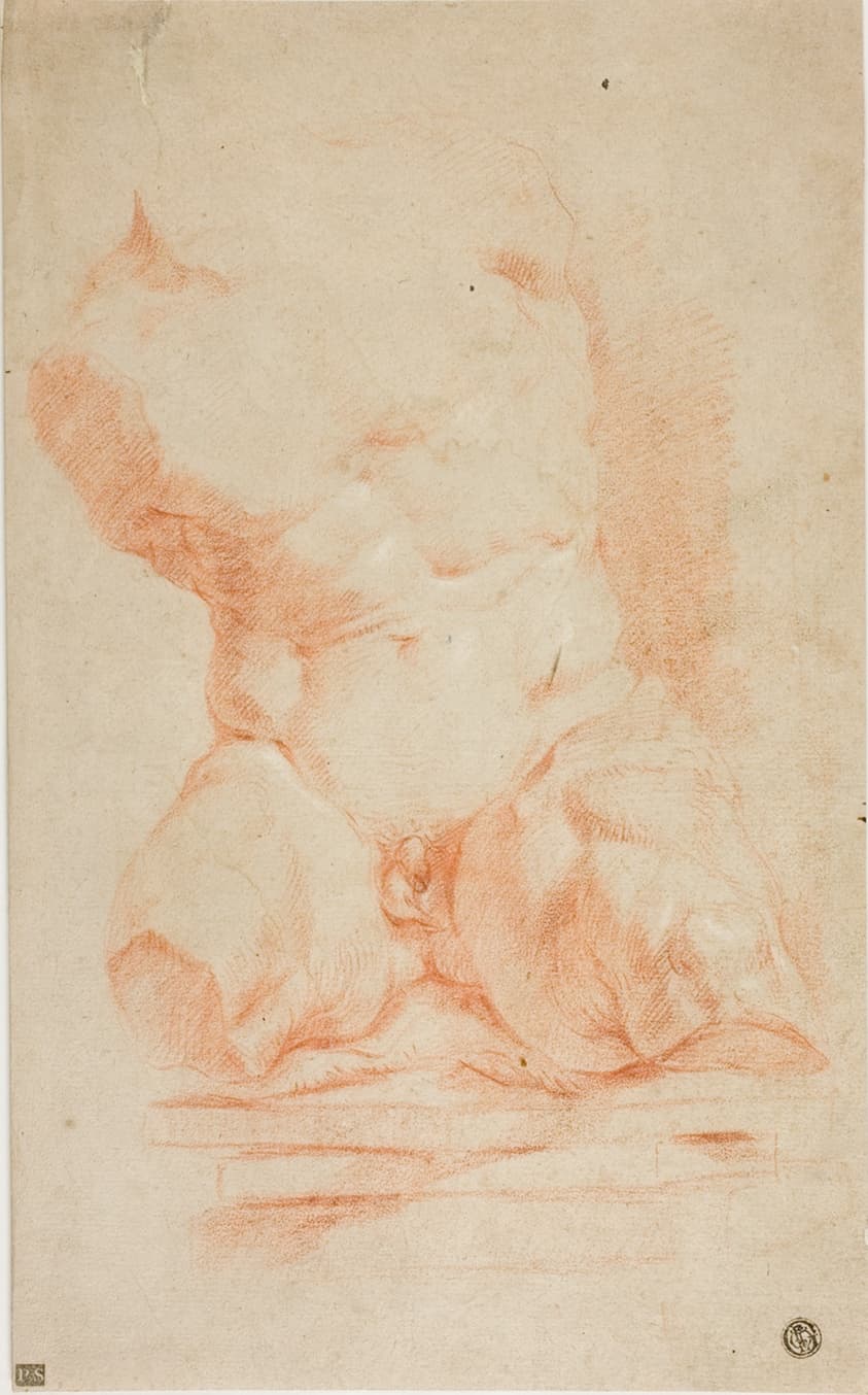 Belvedere Torso — Peter Paul Rubens