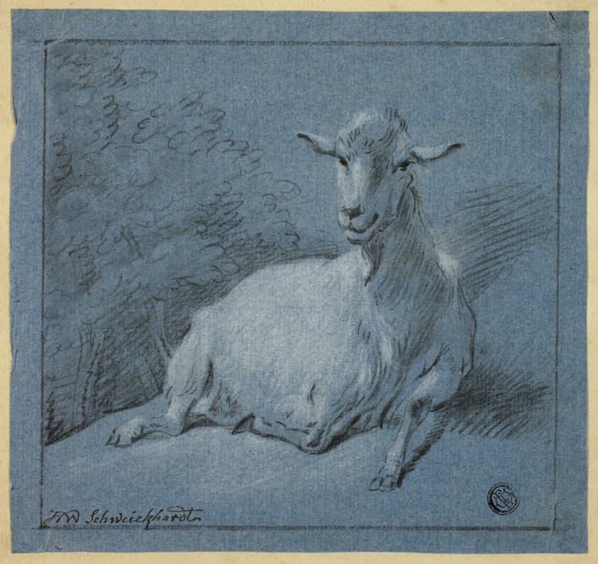 Shegoat — Hendrik Willem Schweickhardt