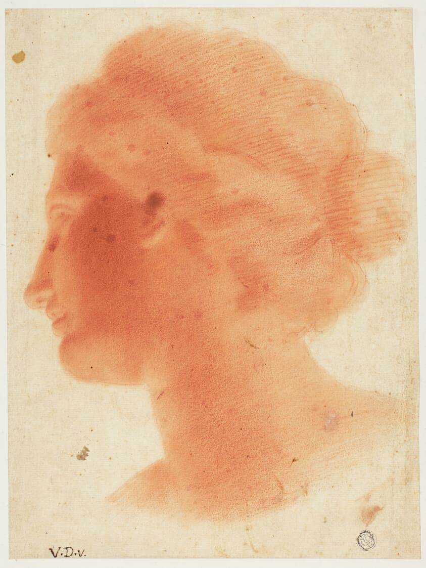 Head of Venus de Medici — Vincenzo Dandini