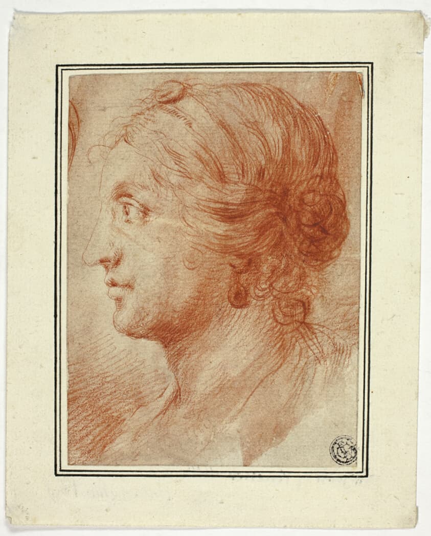 Bust of Woman in Profile to Left — Godfrey Kneller