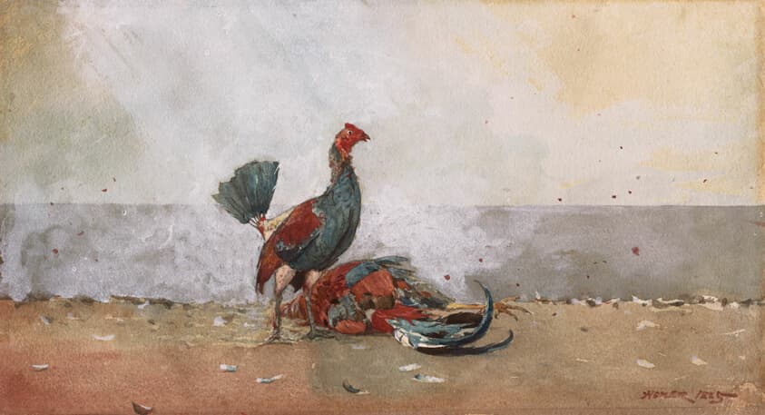 The Cock Fight — Winslow Homer