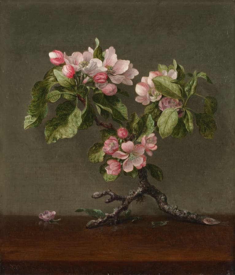 Apple Blossoms — Martin Johnson Heade