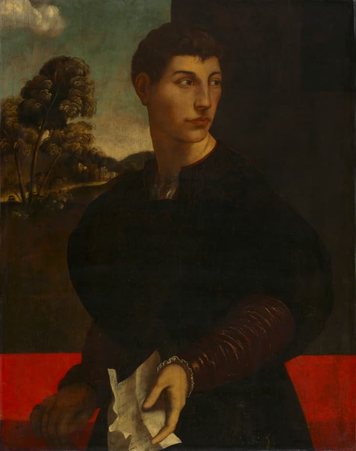 Portrait of a Young Man — Dosso Dossi
