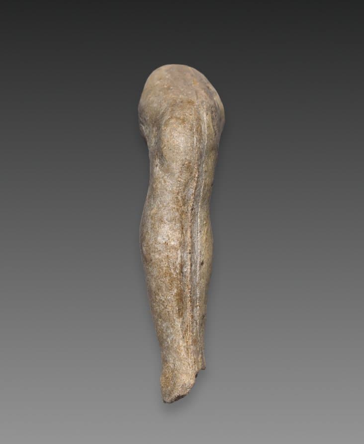 Fragment of a Leg (right leg) — Auguste Rodin