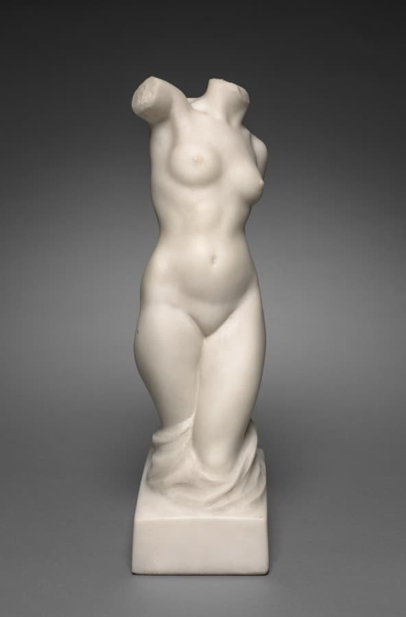 Torso — Max Kalish