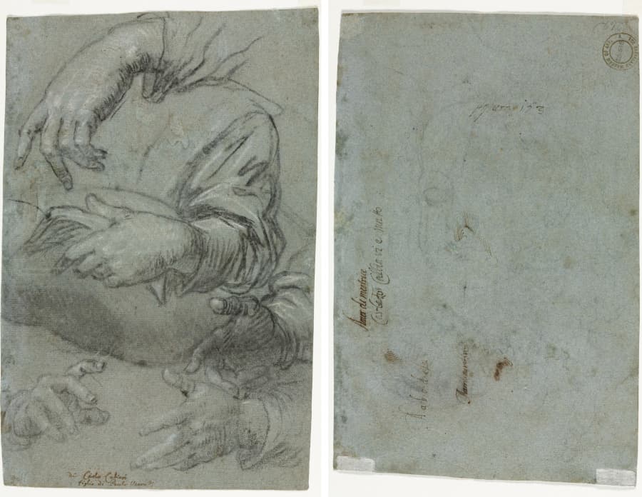 Studies of Hands (recto); Sketch of a Child's Head (verso) — Carletto Caliari