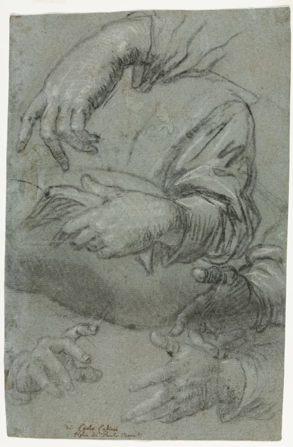Studies of Hands (recto) — Carletto Caliari