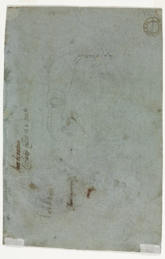 Sketch of a Child's Head (verso) — Carletto Caliari