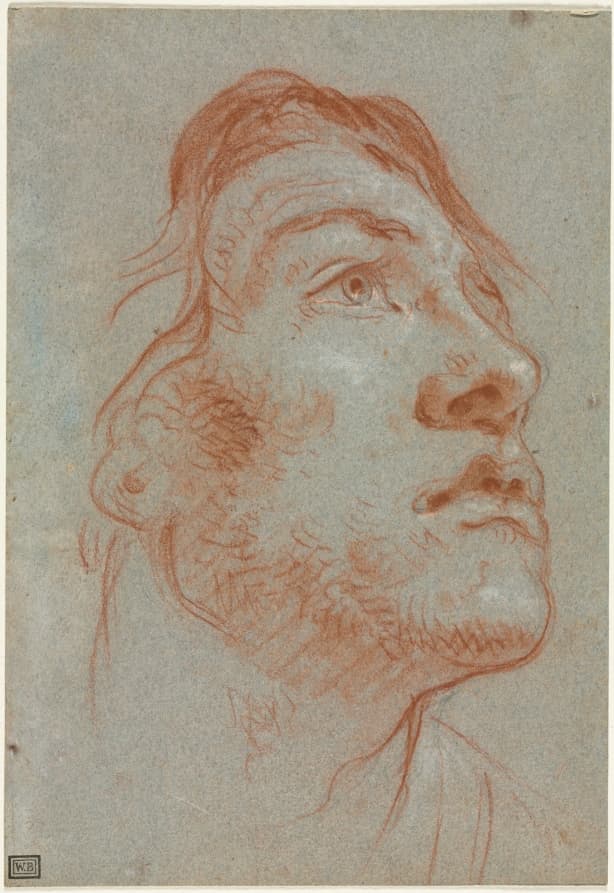The Head of a Young Man Looking Upwards to the Right — Giovanni Battista Tiepolo