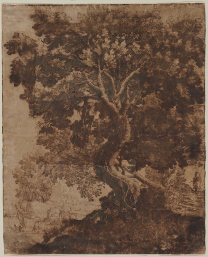 Tree in a Landscape — Ercole Bazicaluva