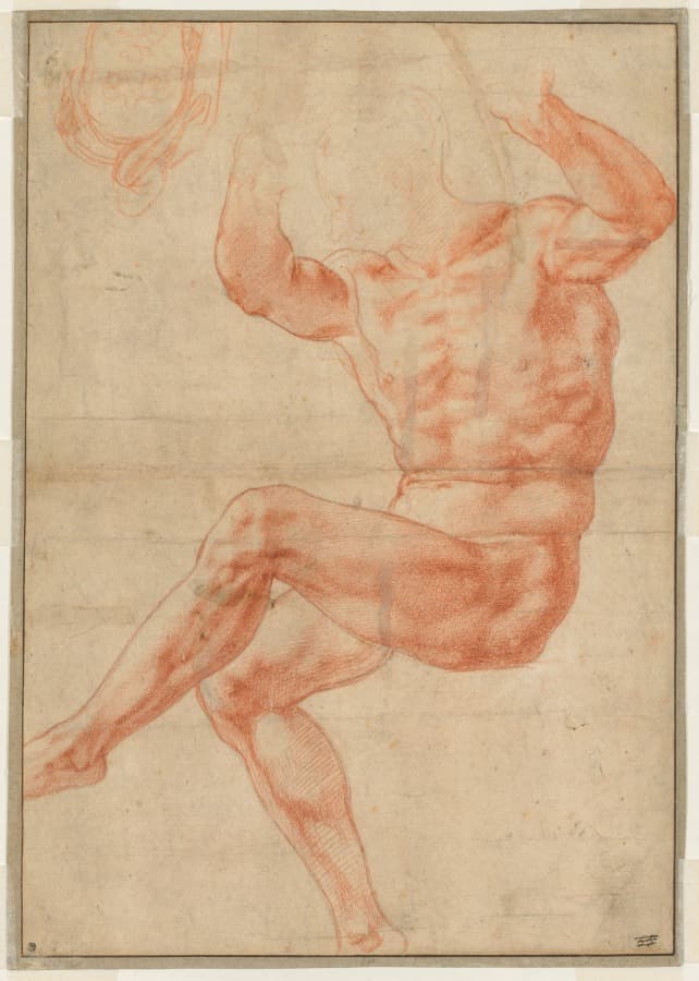 Study for the Nude Youth over the Prophet Daniel (recto) — Michelangelo Buonarroti