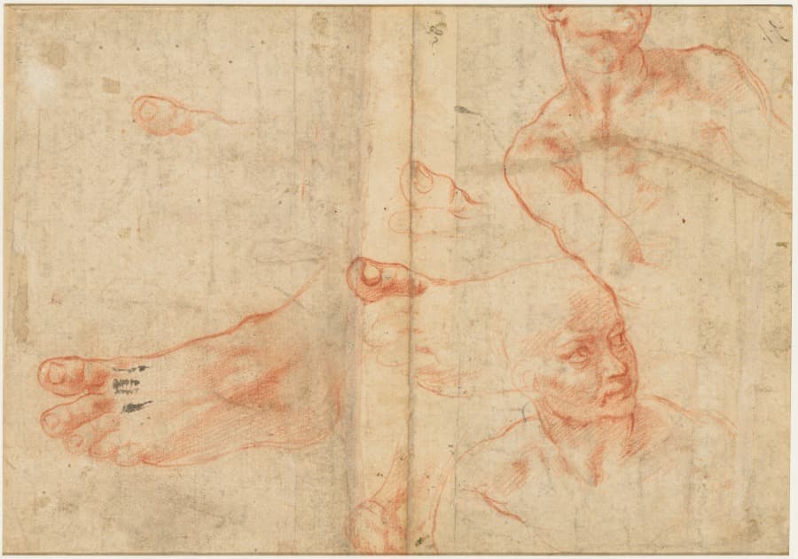 Figure Studies for the Sistine Ceiling (verso) — Michelangelo Buonarroti