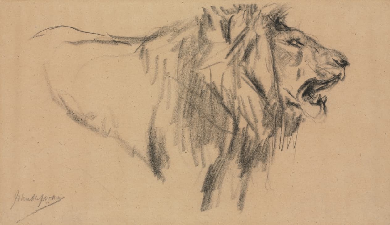 Lion — John Macallan Swan