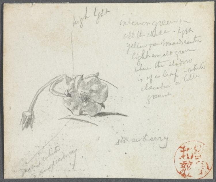 Strawberry Blossom — John La Farge
