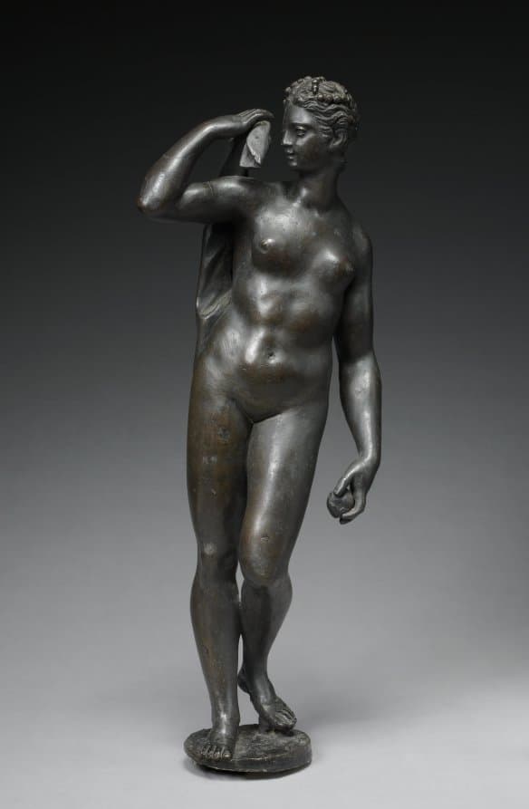 Venus — Danese Cattaneo