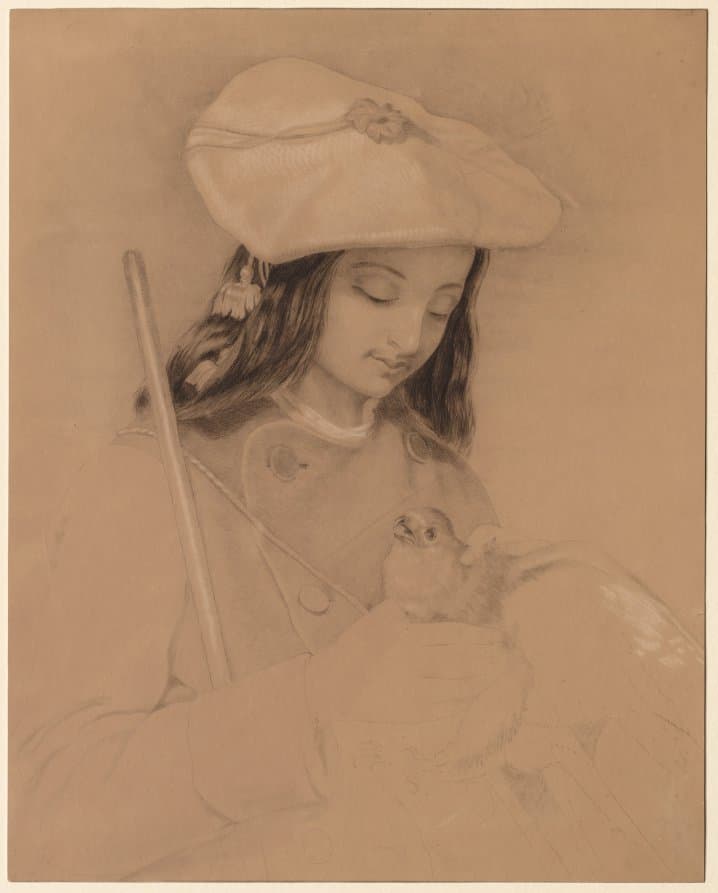 Highland Lassie — Edwin Henry Landseer