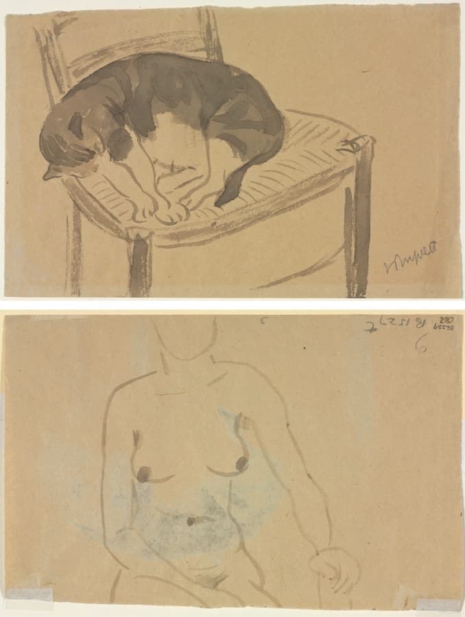 Sleeping Cat (recto) Torso of a Nude Woman (verso) — Jane Poupelet