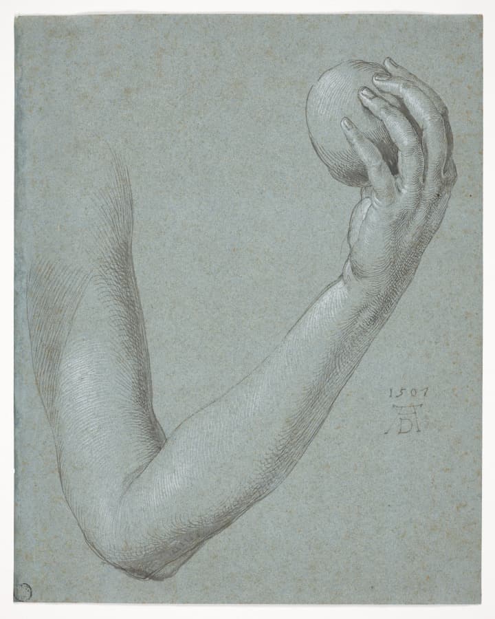 Arm of Eve — Albrecht Dürer