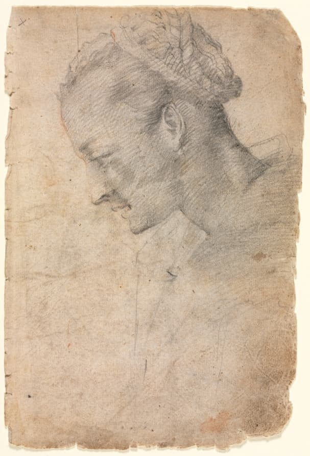 Profile of a Woman's Head (recto) — Alessandro Casolani