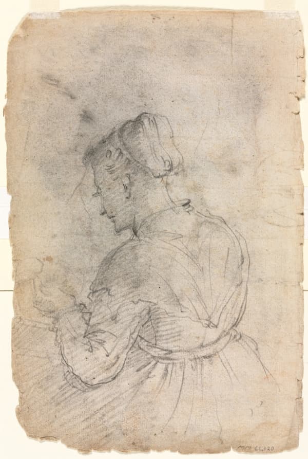 A Kitchen Maid (verso) — Alessandro Casolani