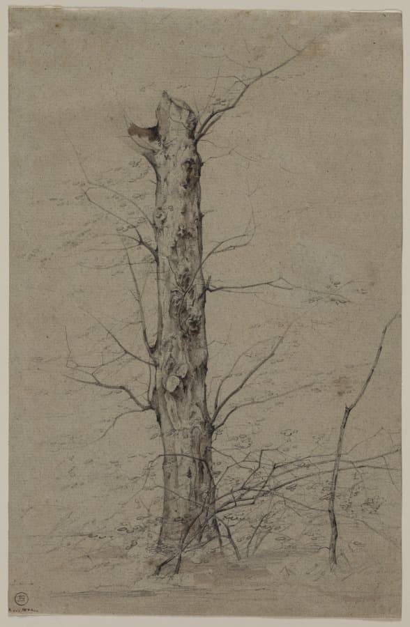 Tree — Ludwig Ferdinand Schnorr von Carolsfeld