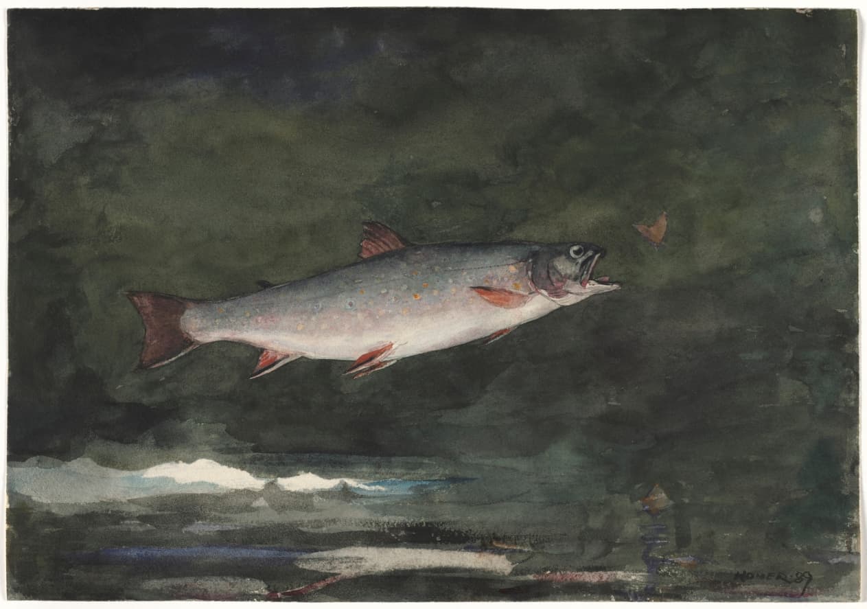 Leaping Trout — Winslow Homer