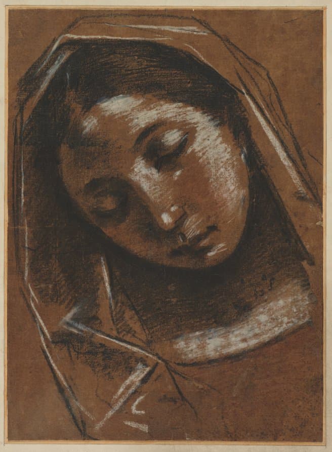 Head of the Virgin — Giacomo Cavedone