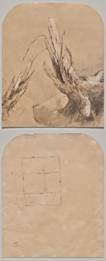 A Blasted Tree (recto) Floorplan (verso) — Jasper F. Cropsey
