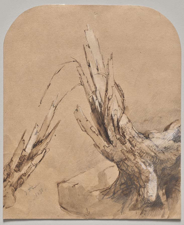 A Blasted Tree (recto) — Jasper F. Cropsey