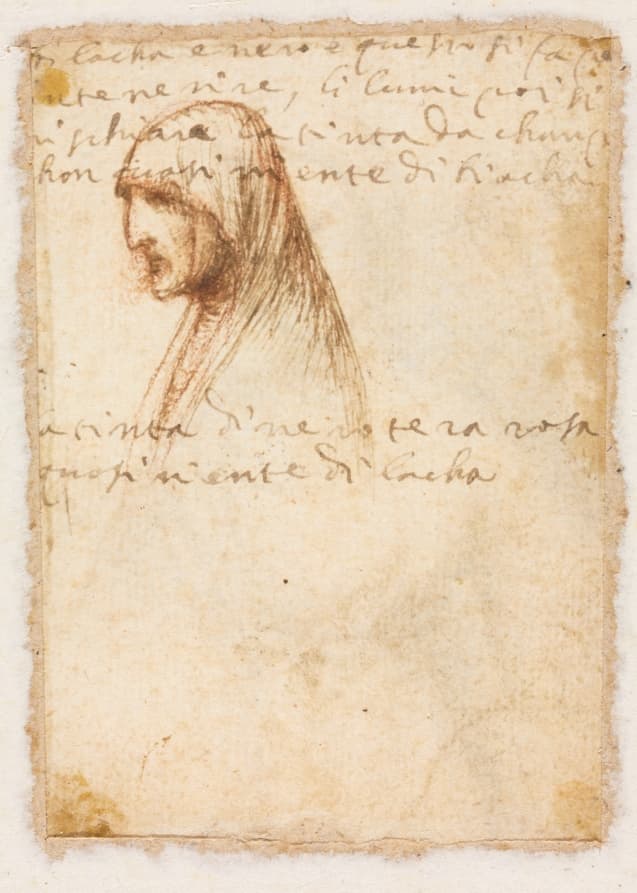 Bust-Length Profile of an Old Woman (verso) — Dosso Dossi