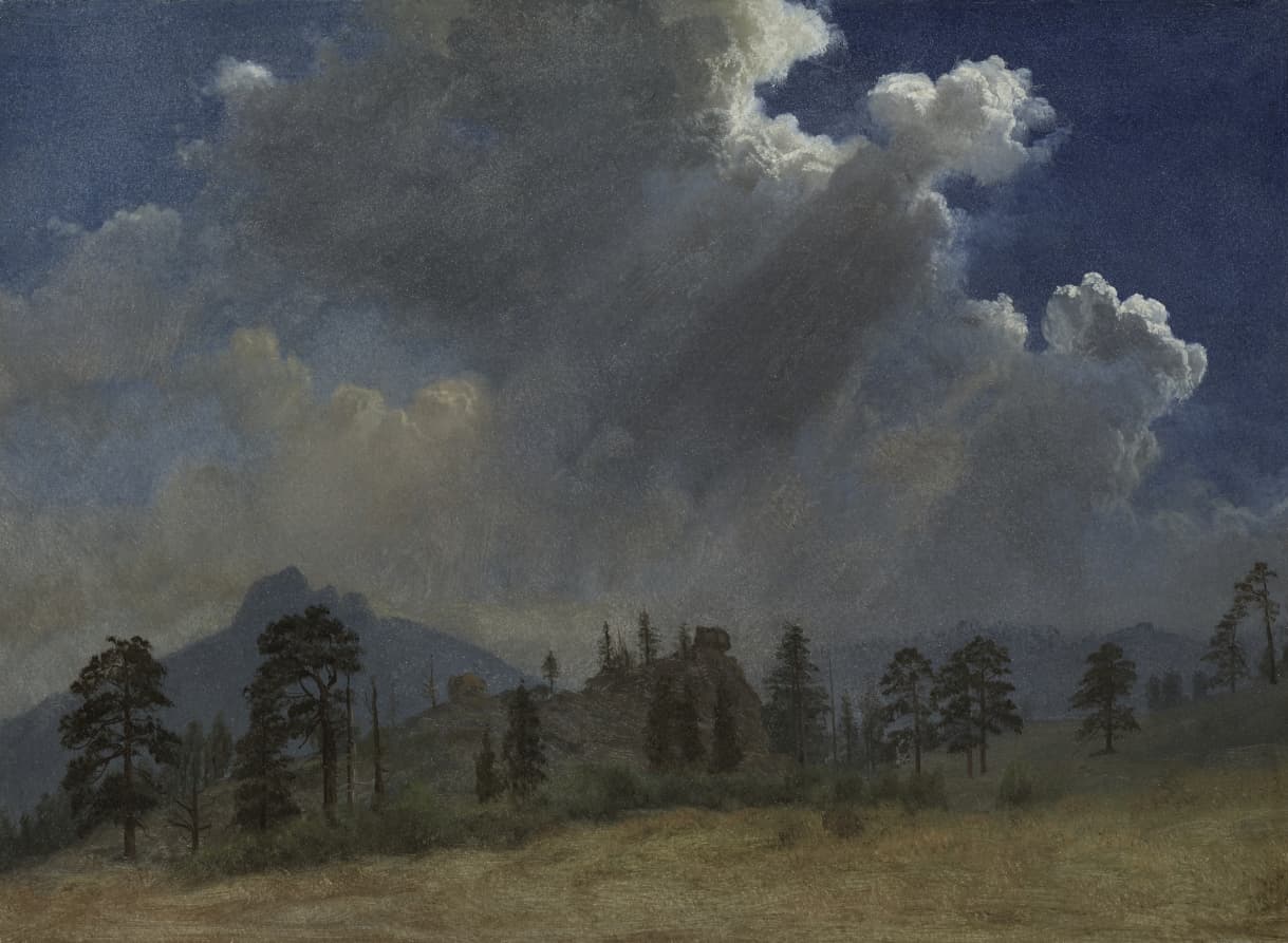 Fir Trees and Storm Clouds — Albert Bierstadt