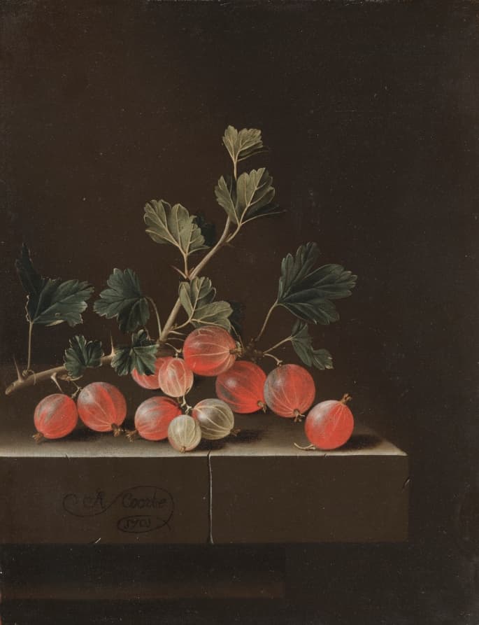 Gooseberries on a Table — Adriaen Coorte
