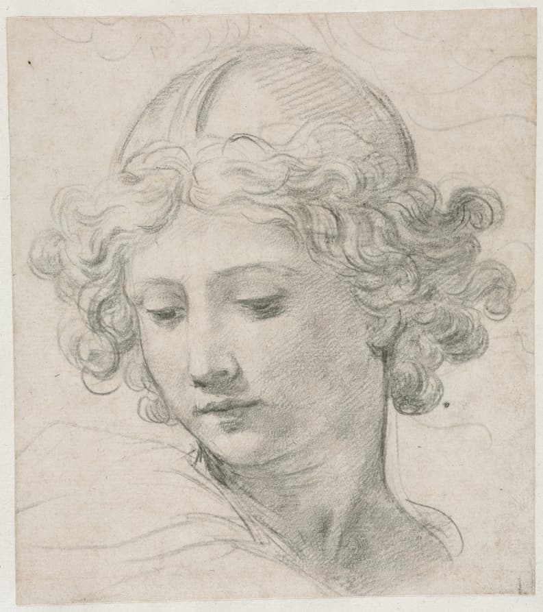 Study for the Head of St. Michael — Pietro da Cortona