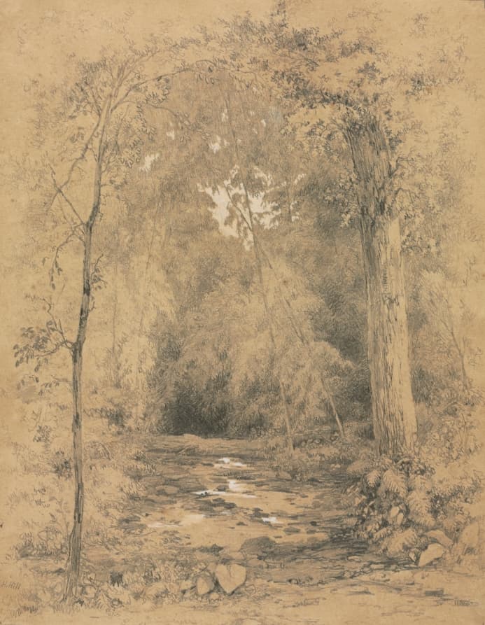 Forest Interior — John Henry Hill