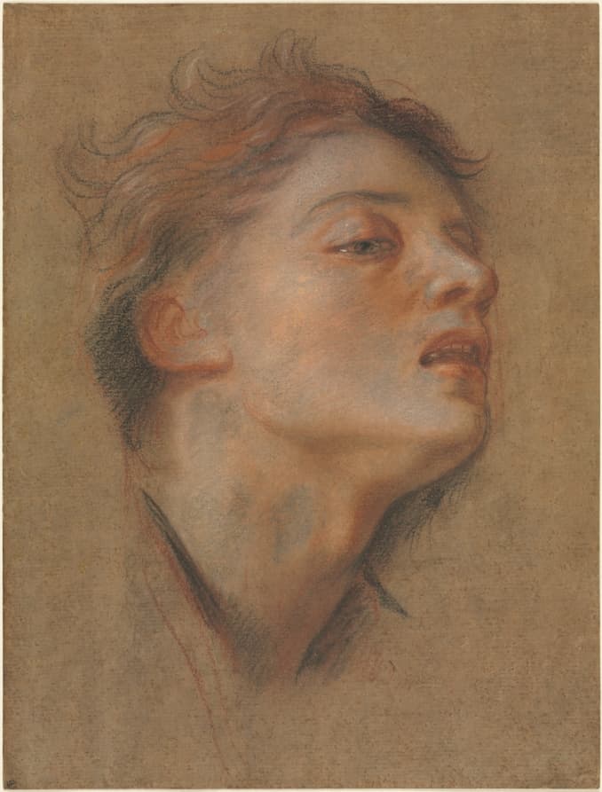 Head of a Young Man — Antoine Coypel